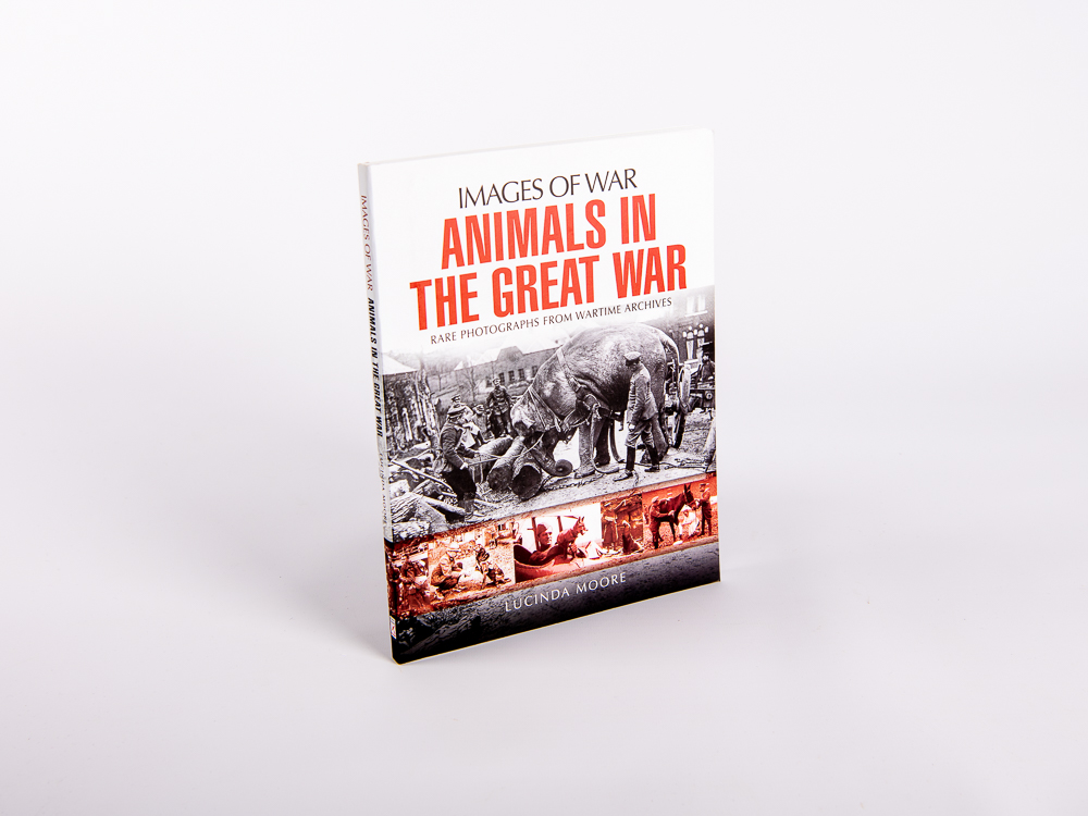 Animals in the Great War: rare photographs from wartime archive | Webshop | In Flanders Fields Museum Animals in the Great War: rare photographs from wartime archive | Webshop | In Flanders Fields Museum